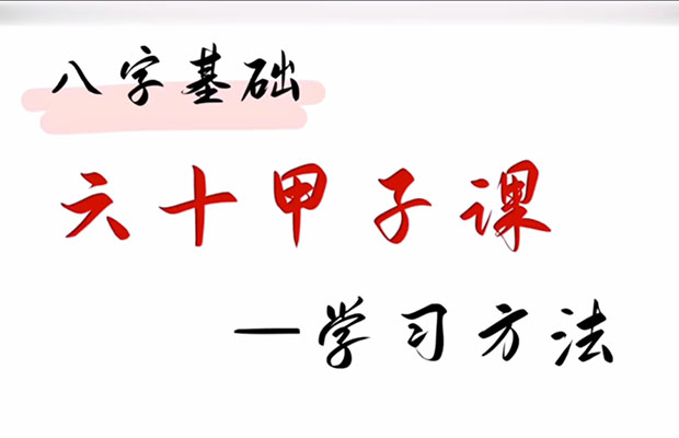 螢火蟲(chóng)八字取象初級(jí)95集:從基礎(chǔ)到實(shí)戰(zhàn),掌握八字象法核心技巧-百萬(wàn)資源網(wǎng)